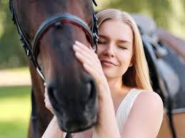 Equine Therapy